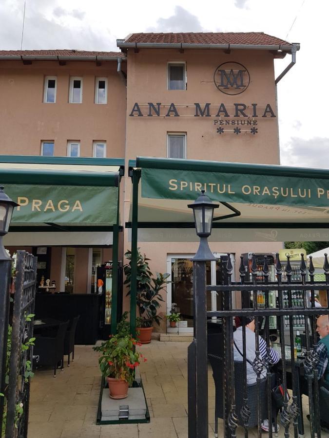 Pensiunea Ana Maria Băile Felix Екстериор снимка